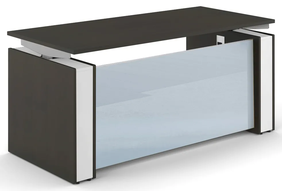 Sit Stand Desk with Glass Modesty Panel