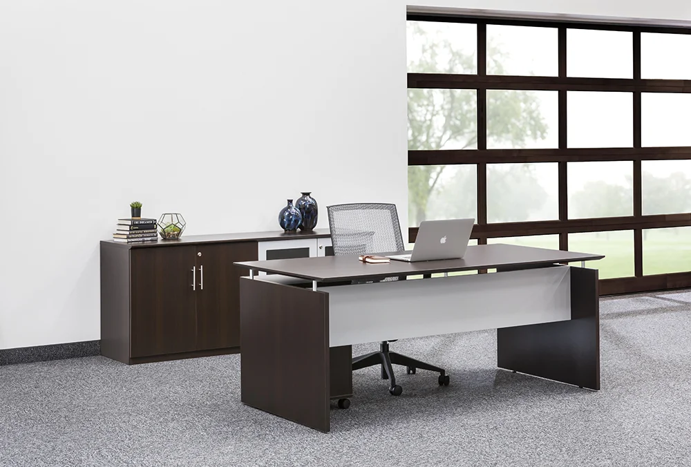 Office Desk and Storage Credenza Set