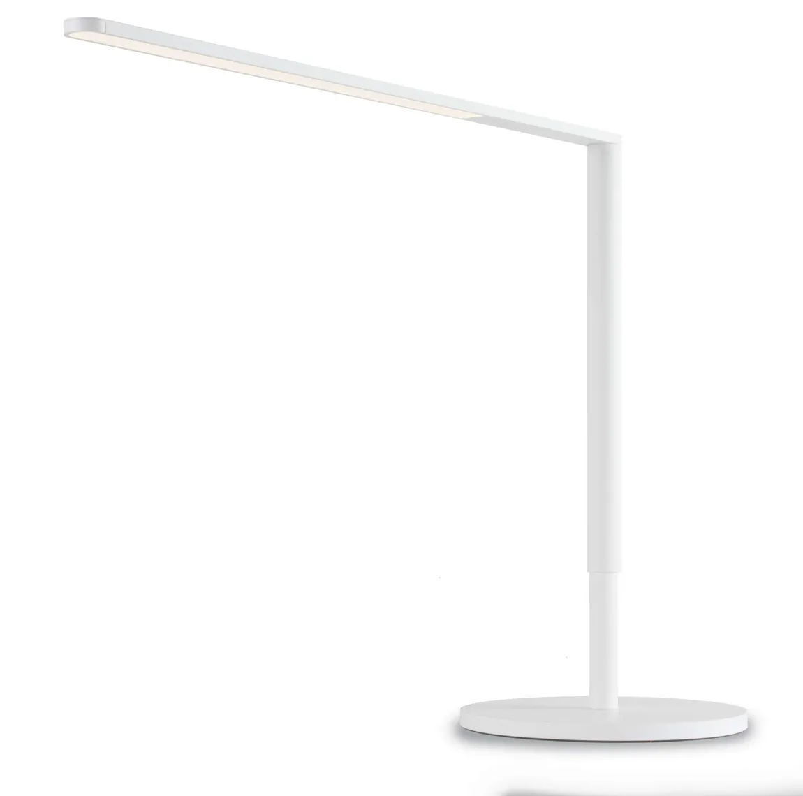 Adjustable LED Desk Lamp with USB