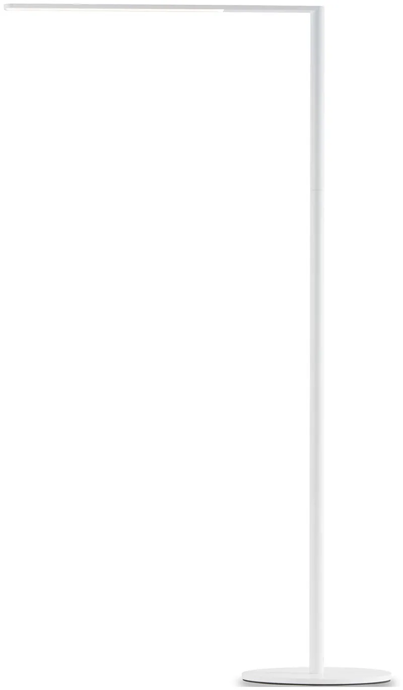 Height Adjustable Floor Lamp with USB