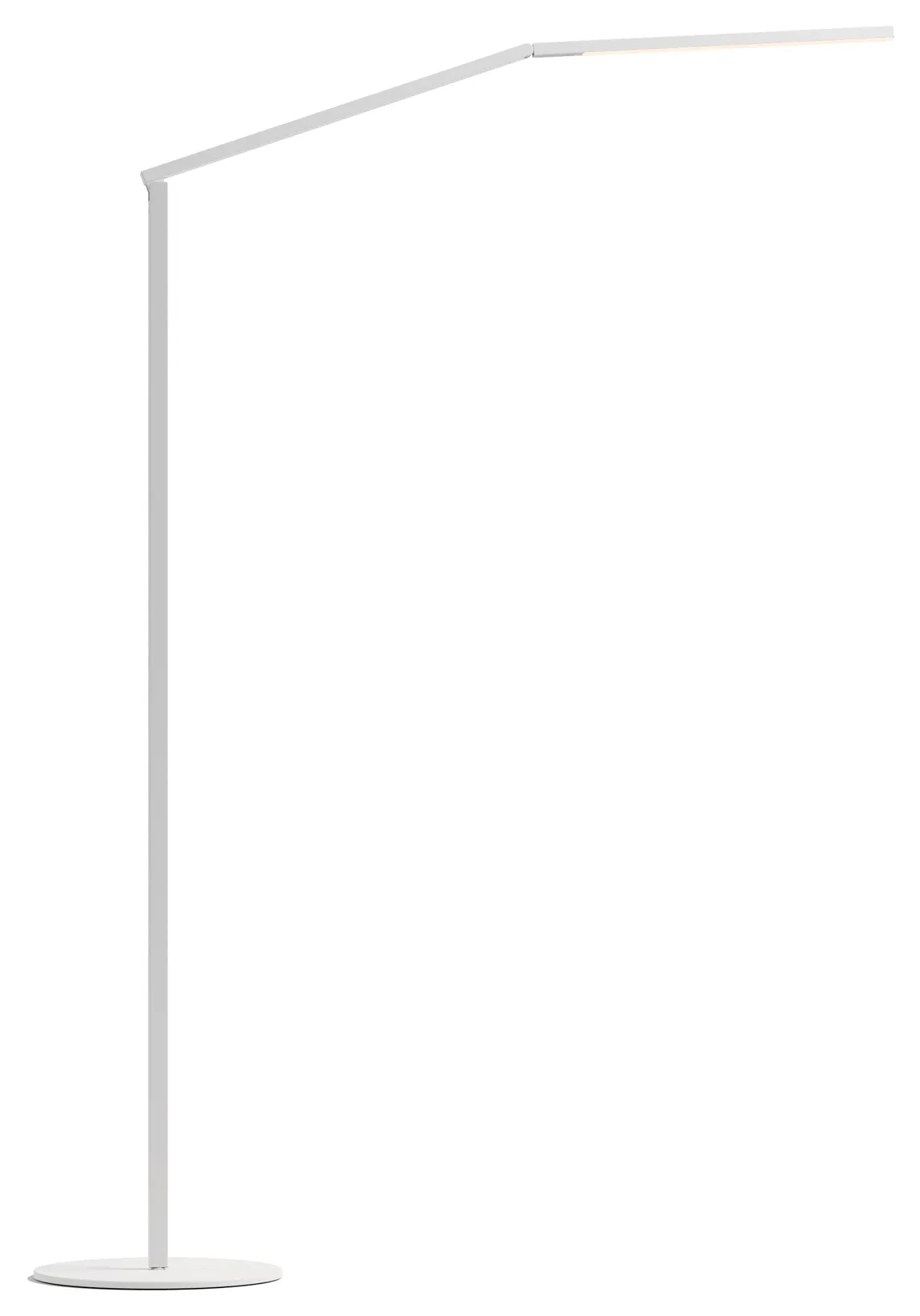 Adjustable LED Floor Lamp