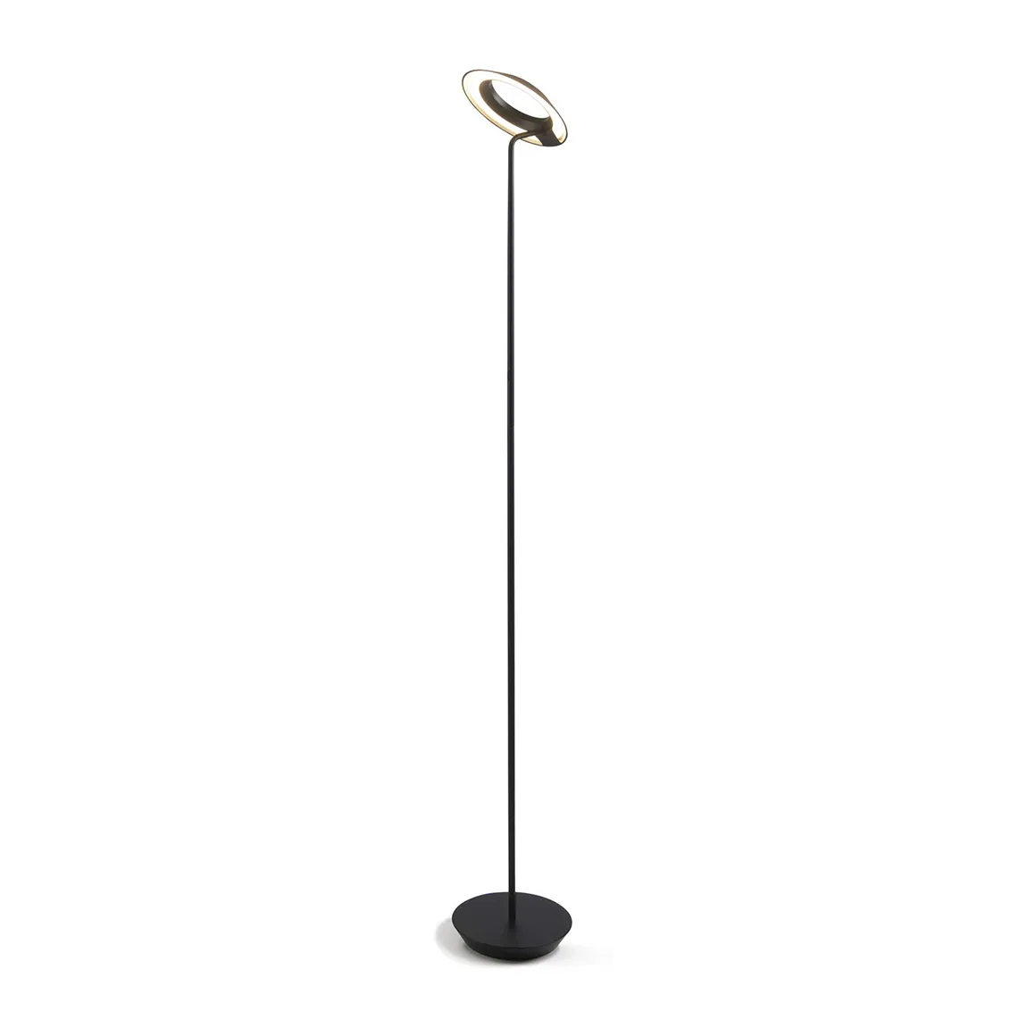 Modern LED Floor Lamp