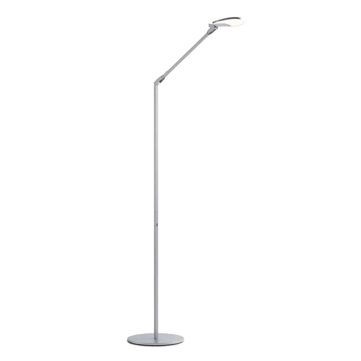 Adjustable Floor Lamp with USB