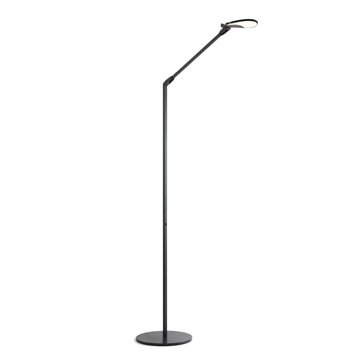 Adjustable Floor Lamp with USB