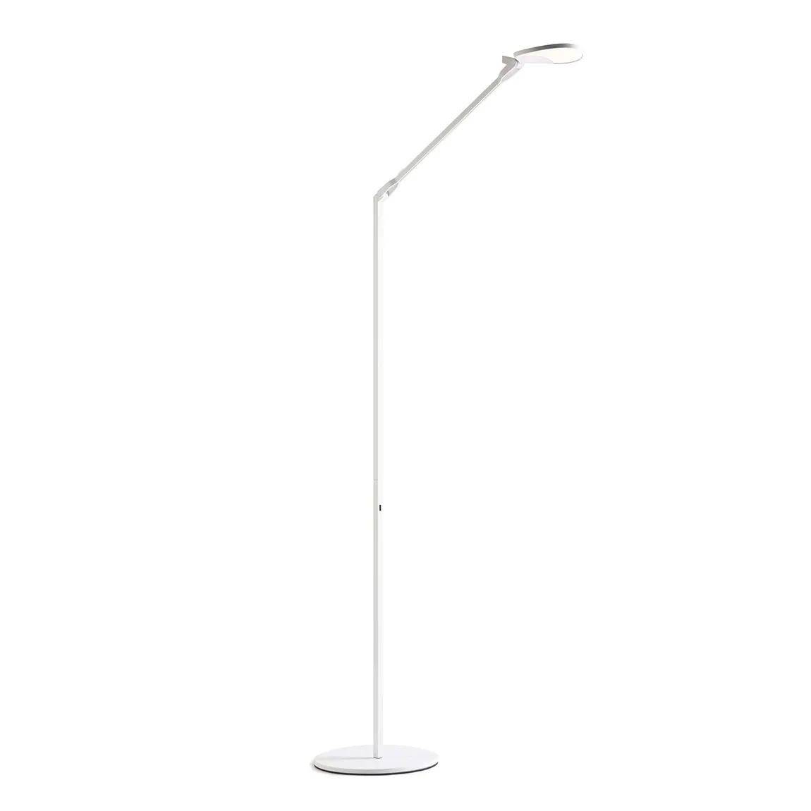 Adjustable Floor Lamp with USB