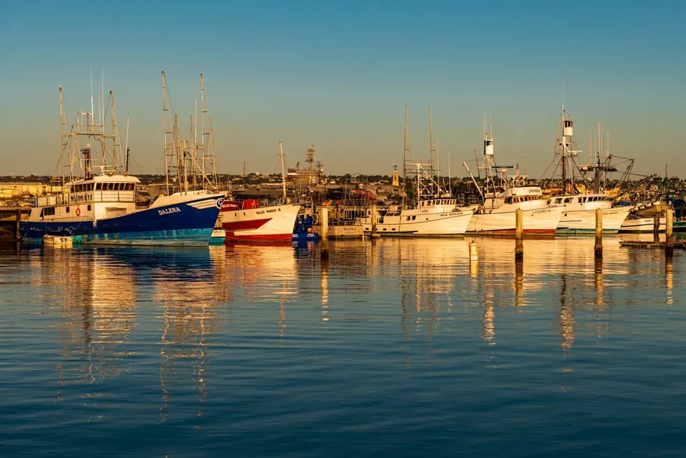 At Rest - Office Wall Art