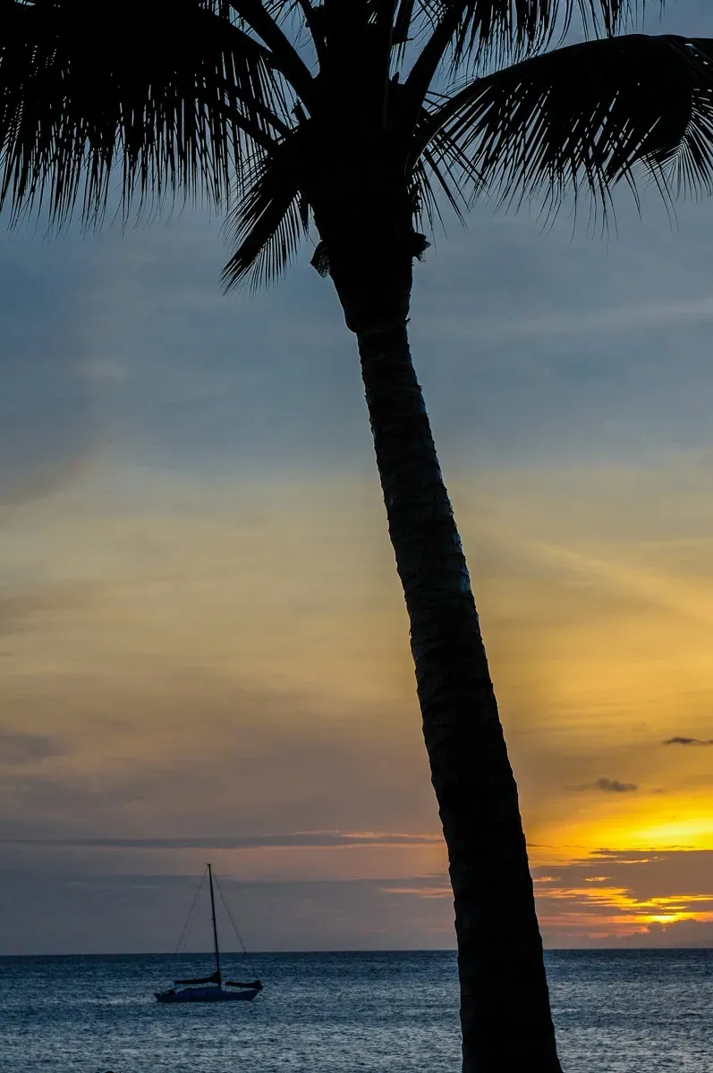 Days End - Office Wall Art