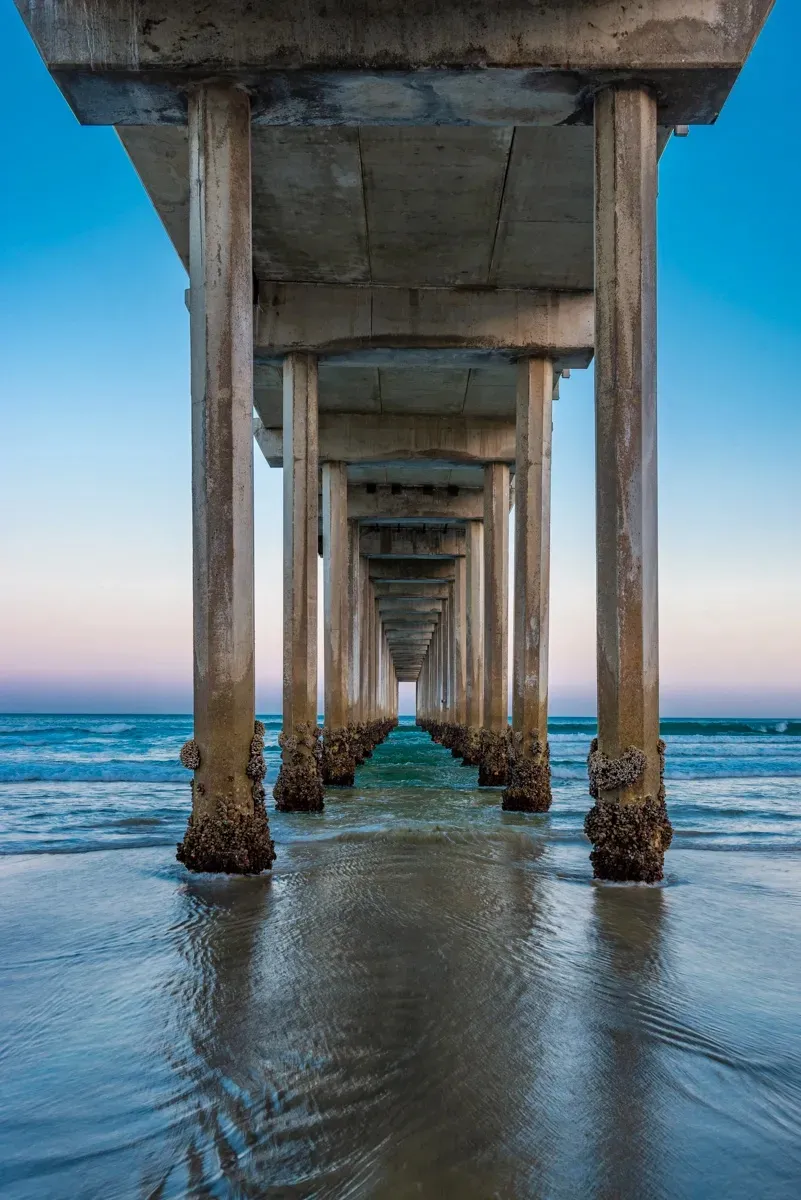 Scripps Pier Low Tide Vertical - Office Wall Art
