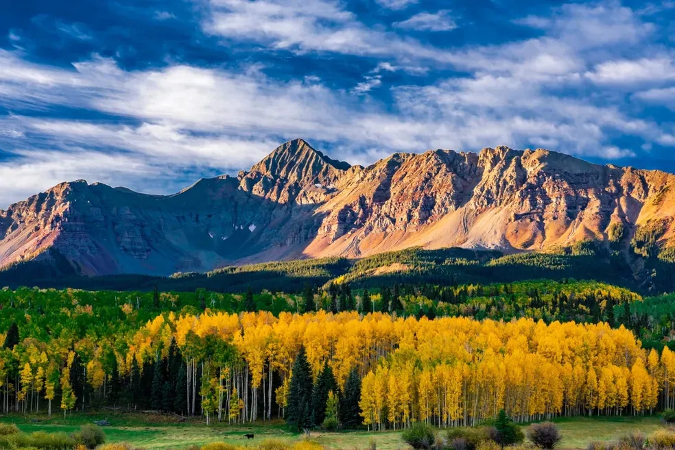 Waiting for Winter - Office Wall Art