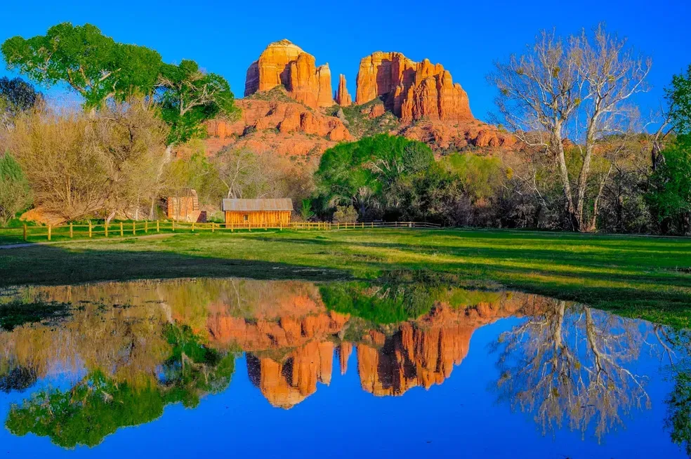 Cathedral Reflection - Office Wall Art