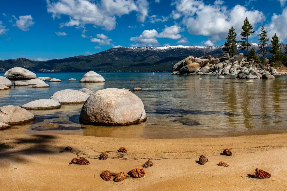 Beached Cones - Office Wall Art