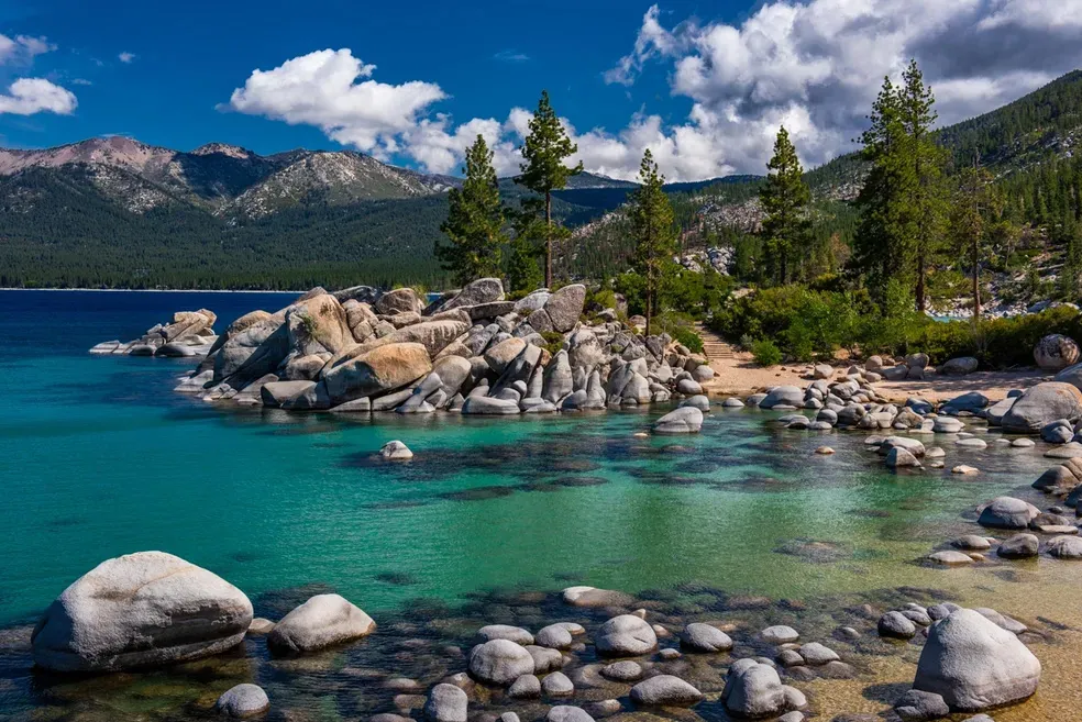 Pure Aqua - Office Wall Art