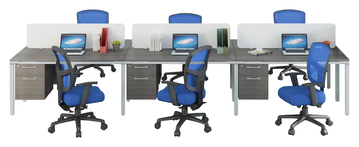 6 Person Workstation with Privacy Panels