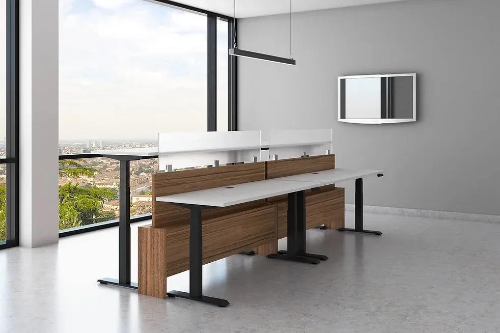 4 Person Height Adjustable Desk with Power