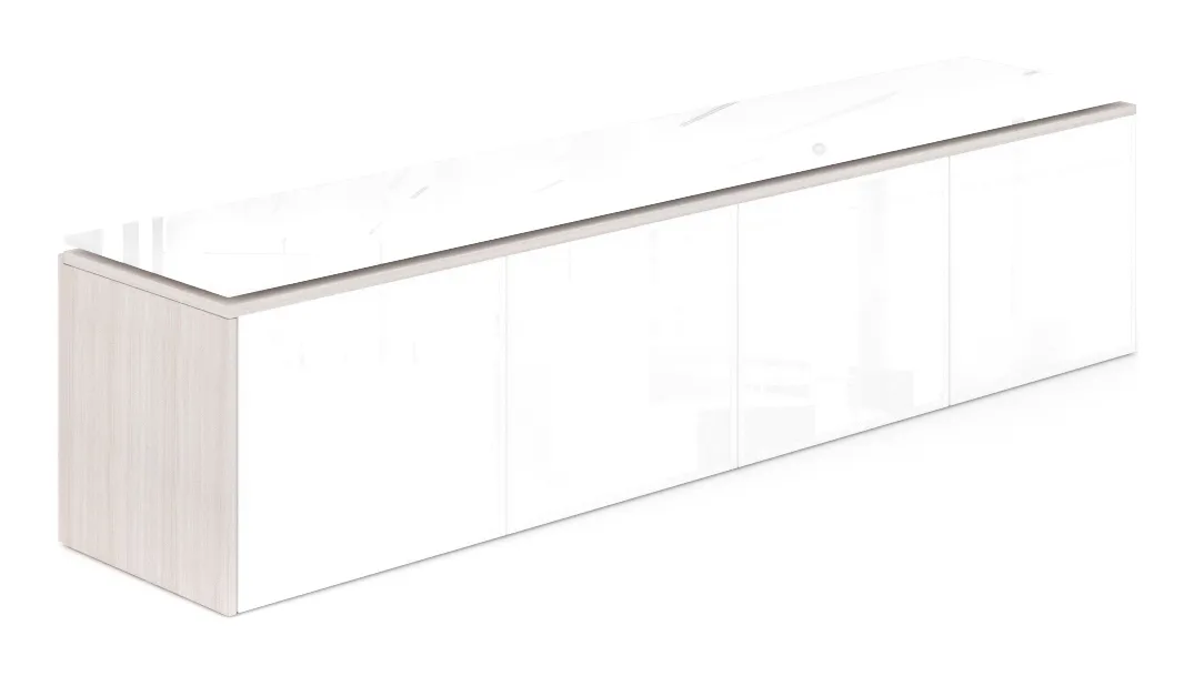 Wall Mounted Storage with Glass Doors