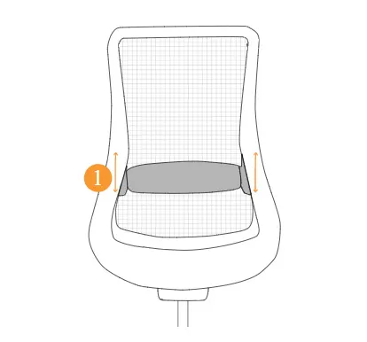 Genie Lumbar Support