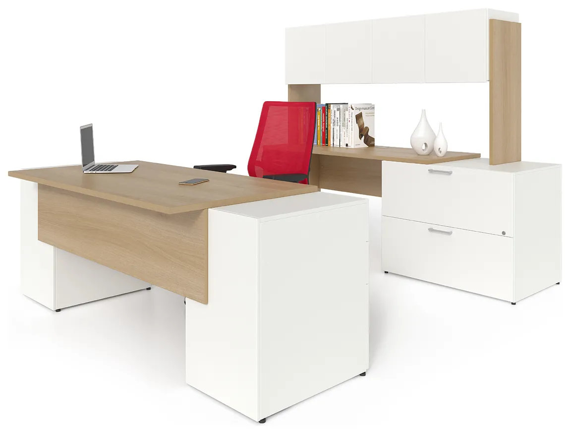 Rectangular Desk and Credenza Set