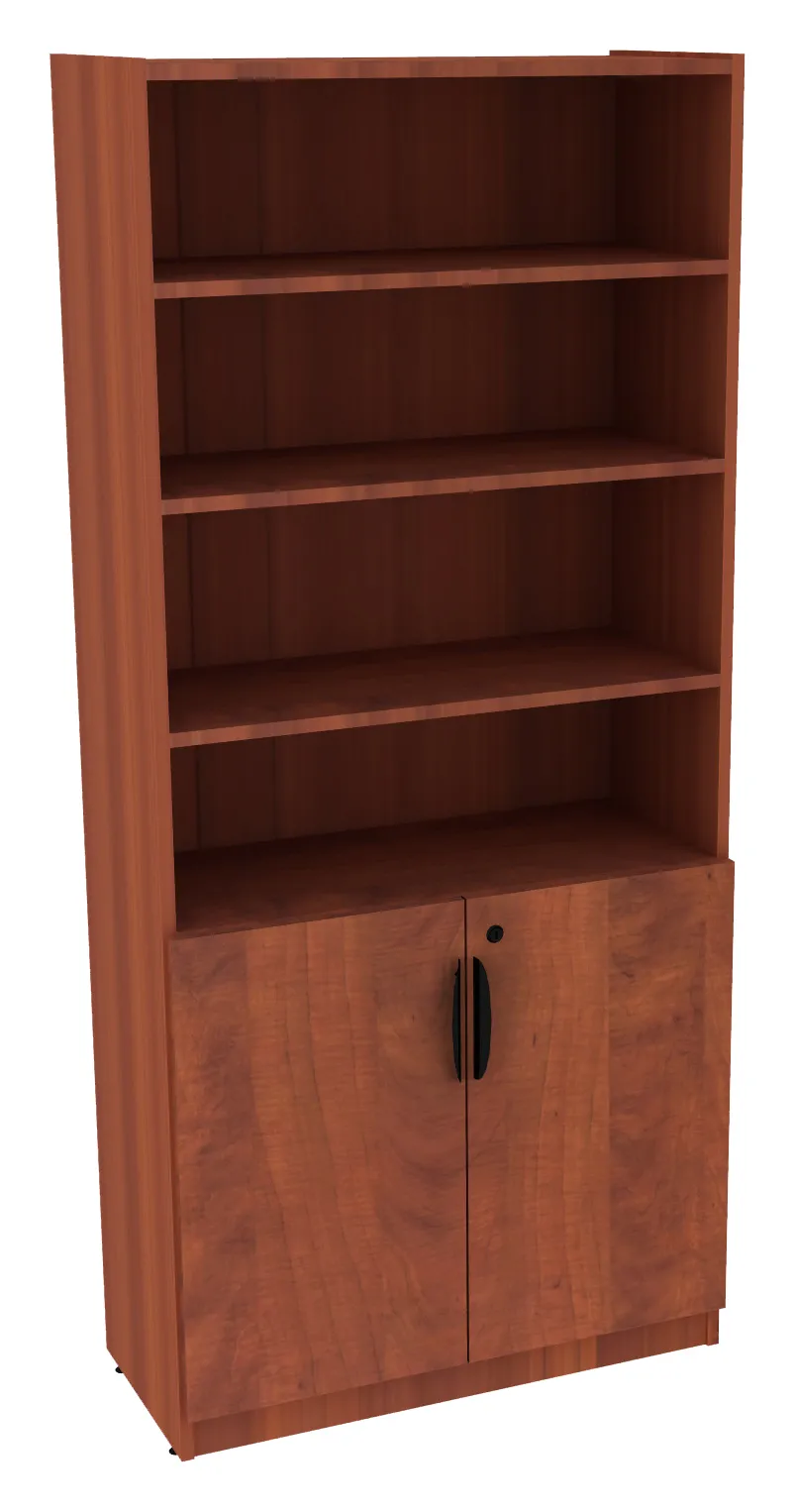 Bookcase with Locking Doors