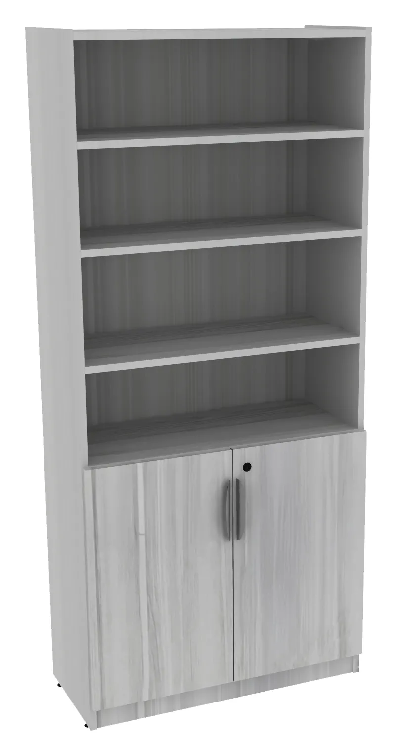 Bookcase with Locking Doors