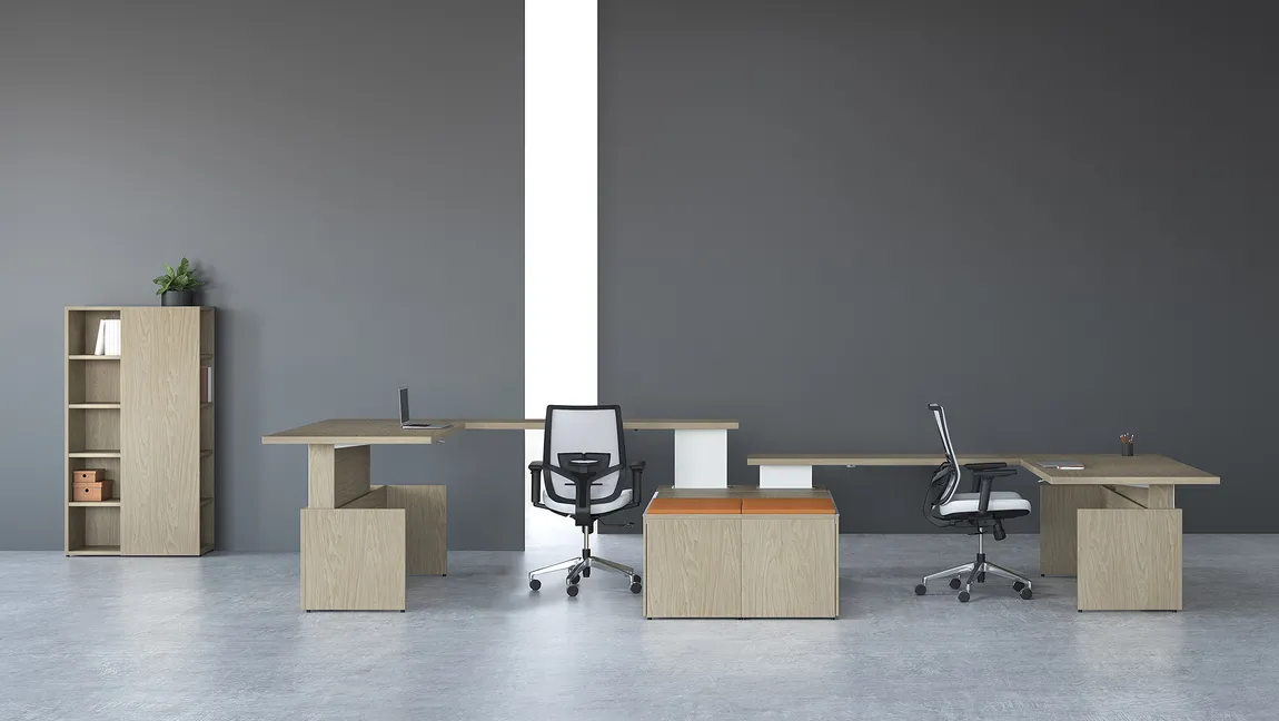 2 Person Sit Stand Desk