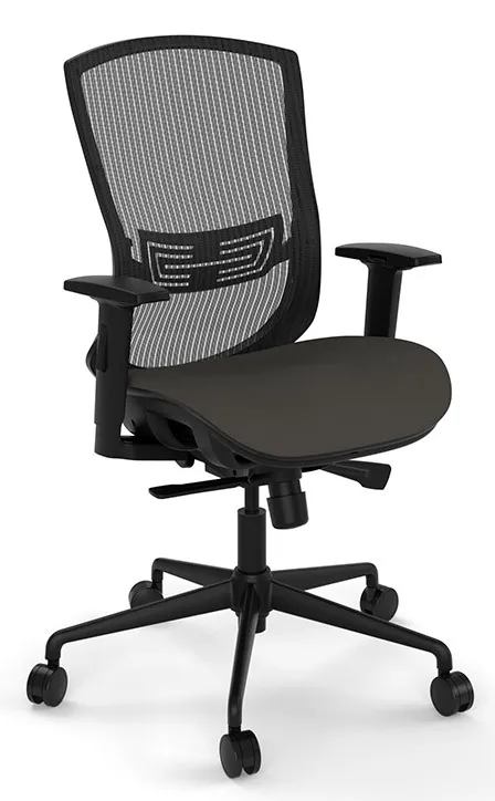 Mesh Back Office Chair with Lumbar Support