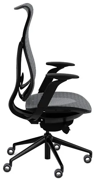 Ergonomic Office Chair