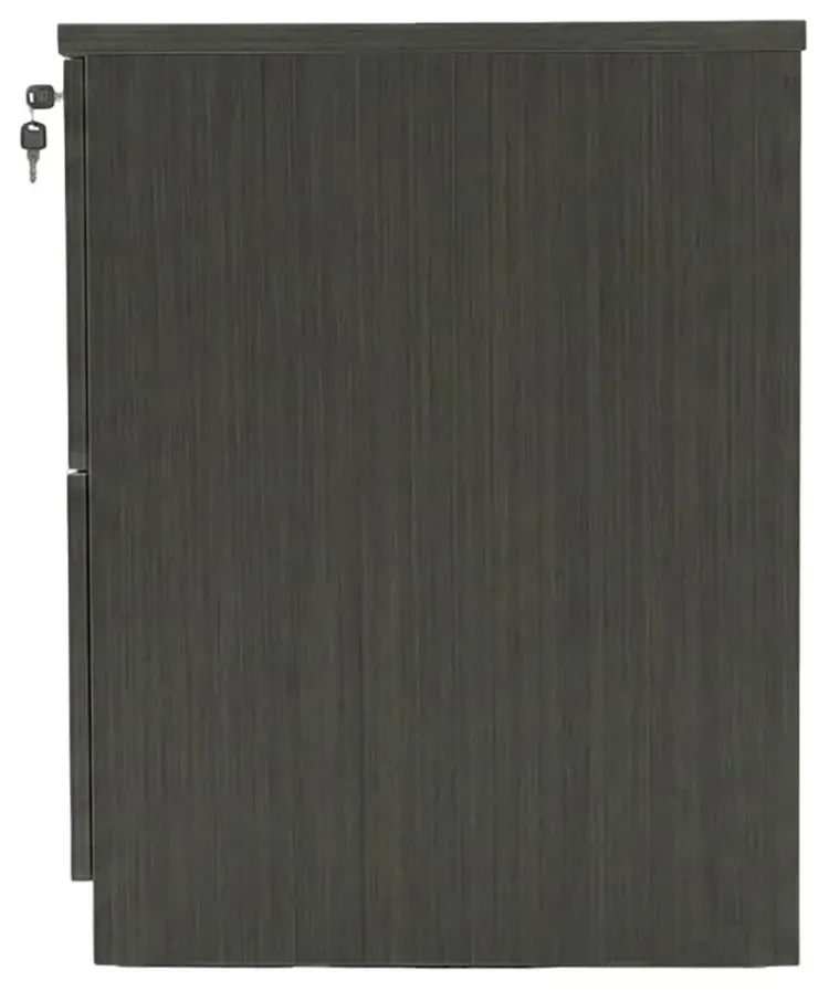 2 Drawer Lateral File Cabinet