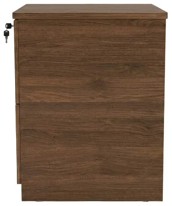 2 Drawer Lateral File Cabinet