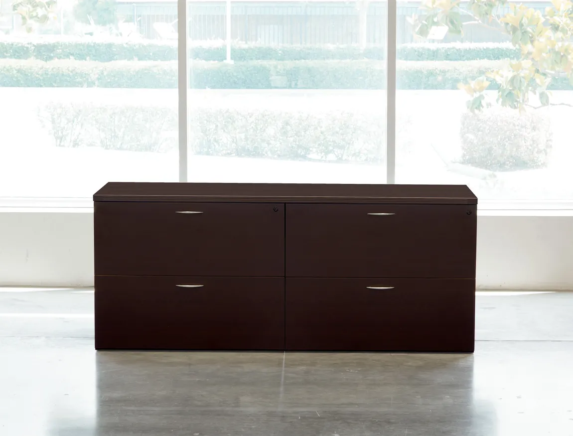 Double Lateral Filing Cabinet Credenza
