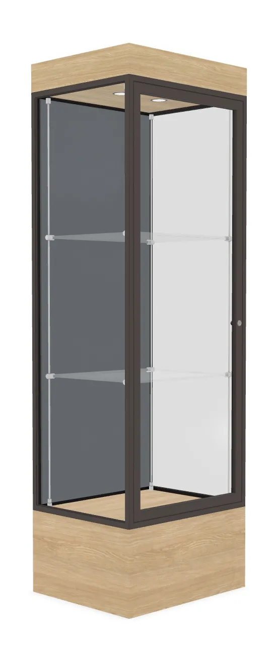 Lighted Display Case with 12
