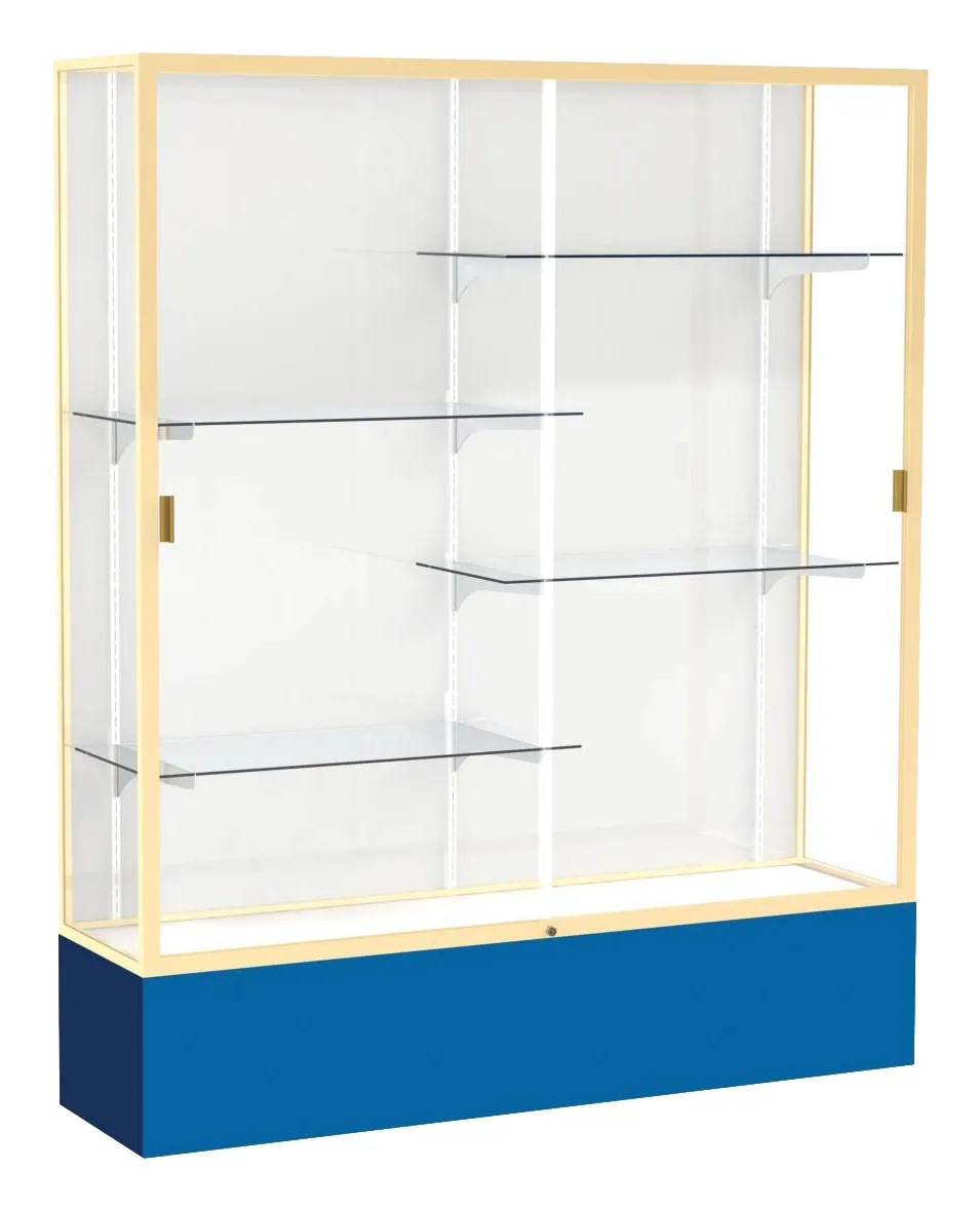 small tall glass display case 60 x 72 18