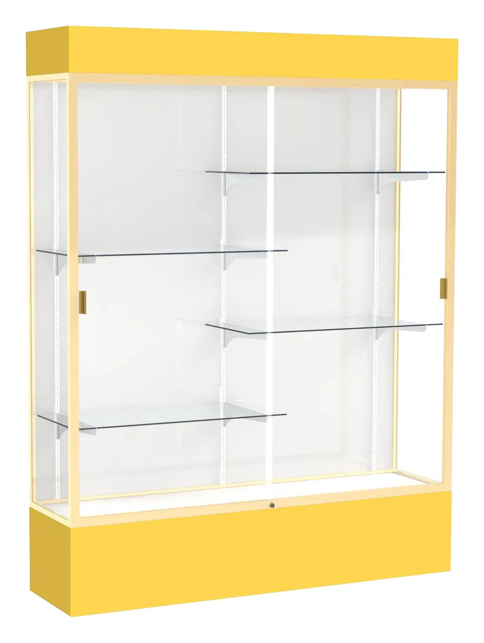 small tall glass display case with lights 60 x 80 11