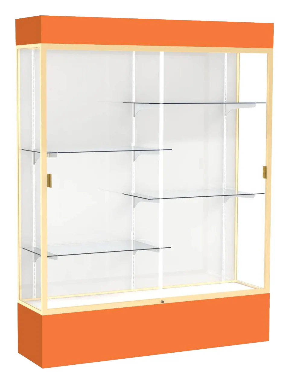small tall glass display case with lights 60 x 80 15
