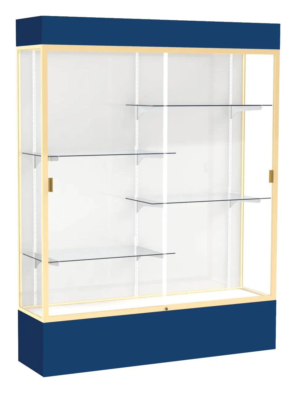 small tall glass display case with lights 60 x 80 14