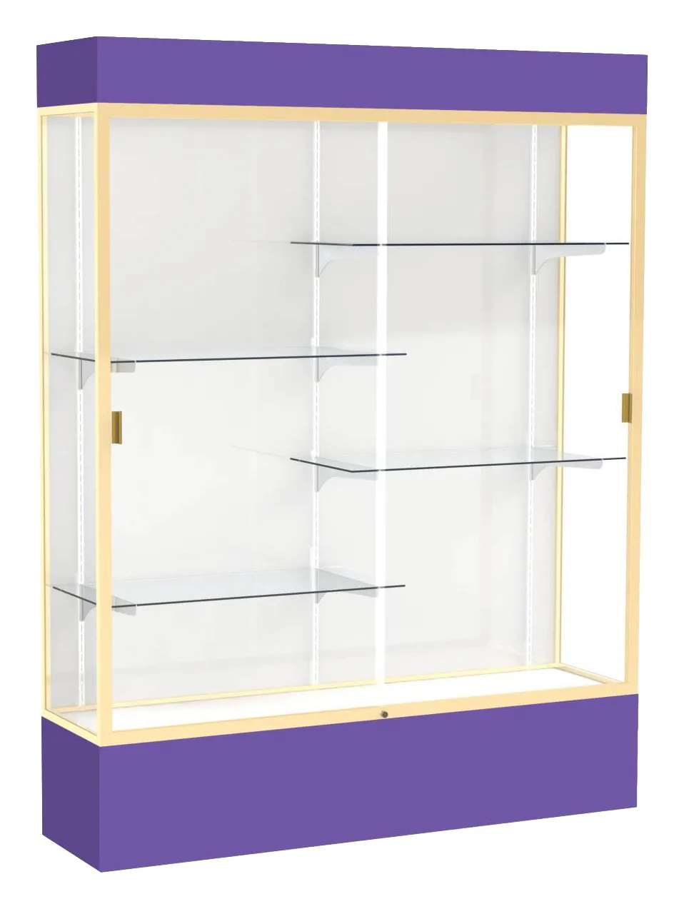 small tall glass display case with lights 60 x 80 16