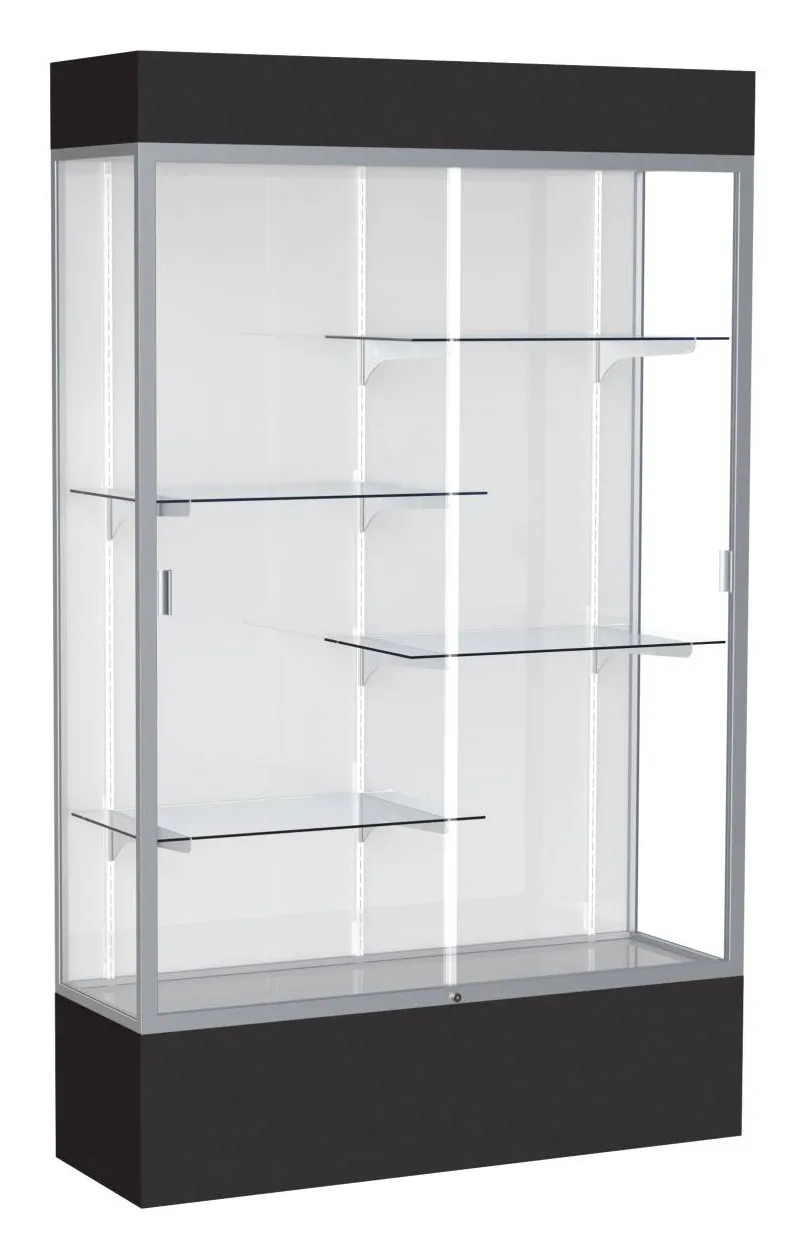 small glass display case with lights 48 x 80 19