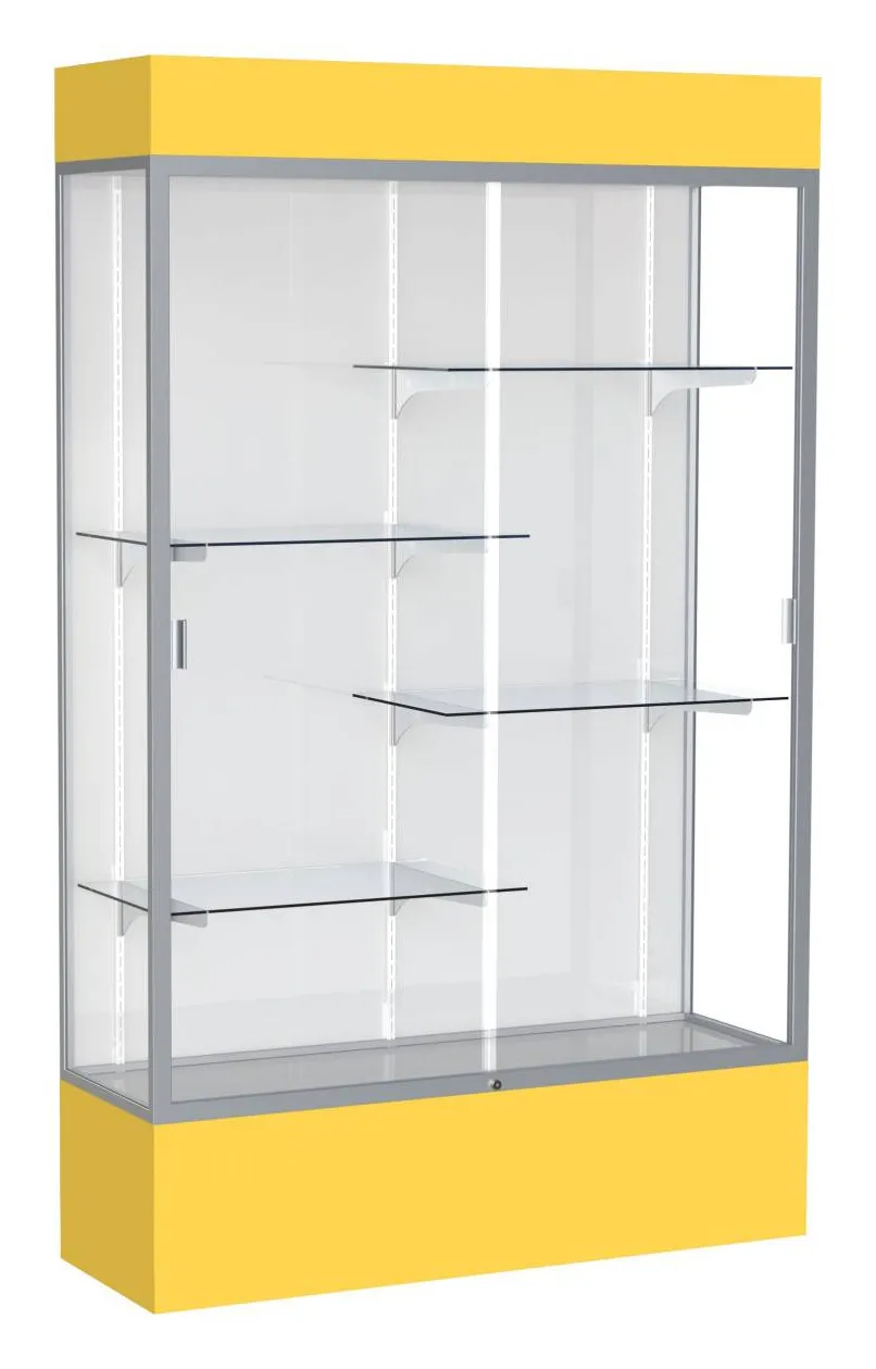 small glass display case with lights 48 x 80 20