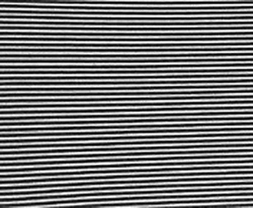 Contemporary Office Chair