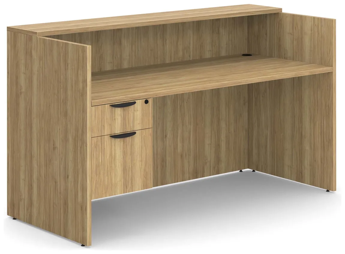 Reception Desk with Counter