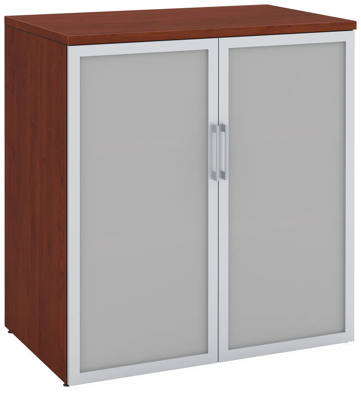 Office Storage Cabinet with Glass Doors