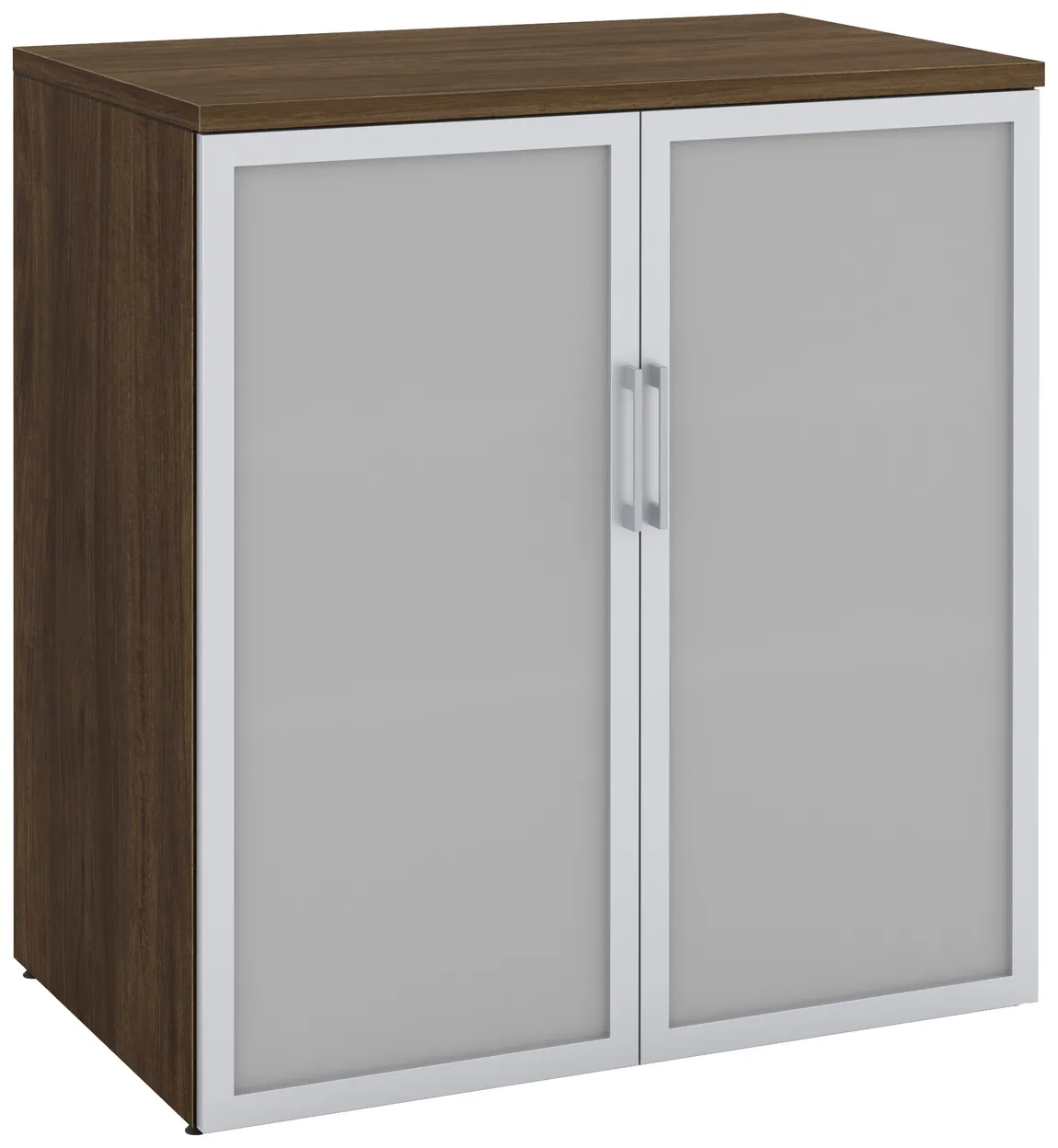 Office Storage Cabinet with Glass Doors