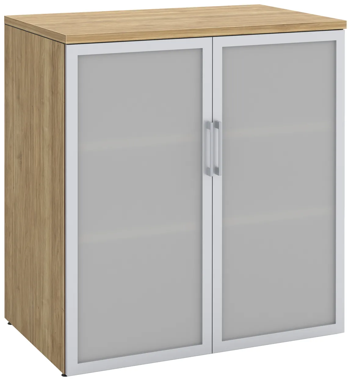 Office Storage Cabinet with Glass Doors