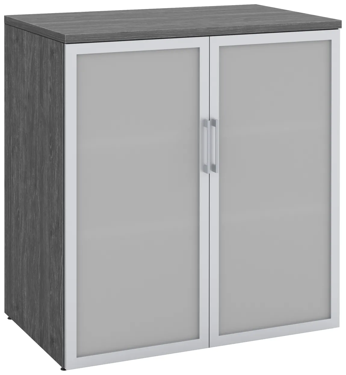 Office Storage Cabinet with Glass Doors