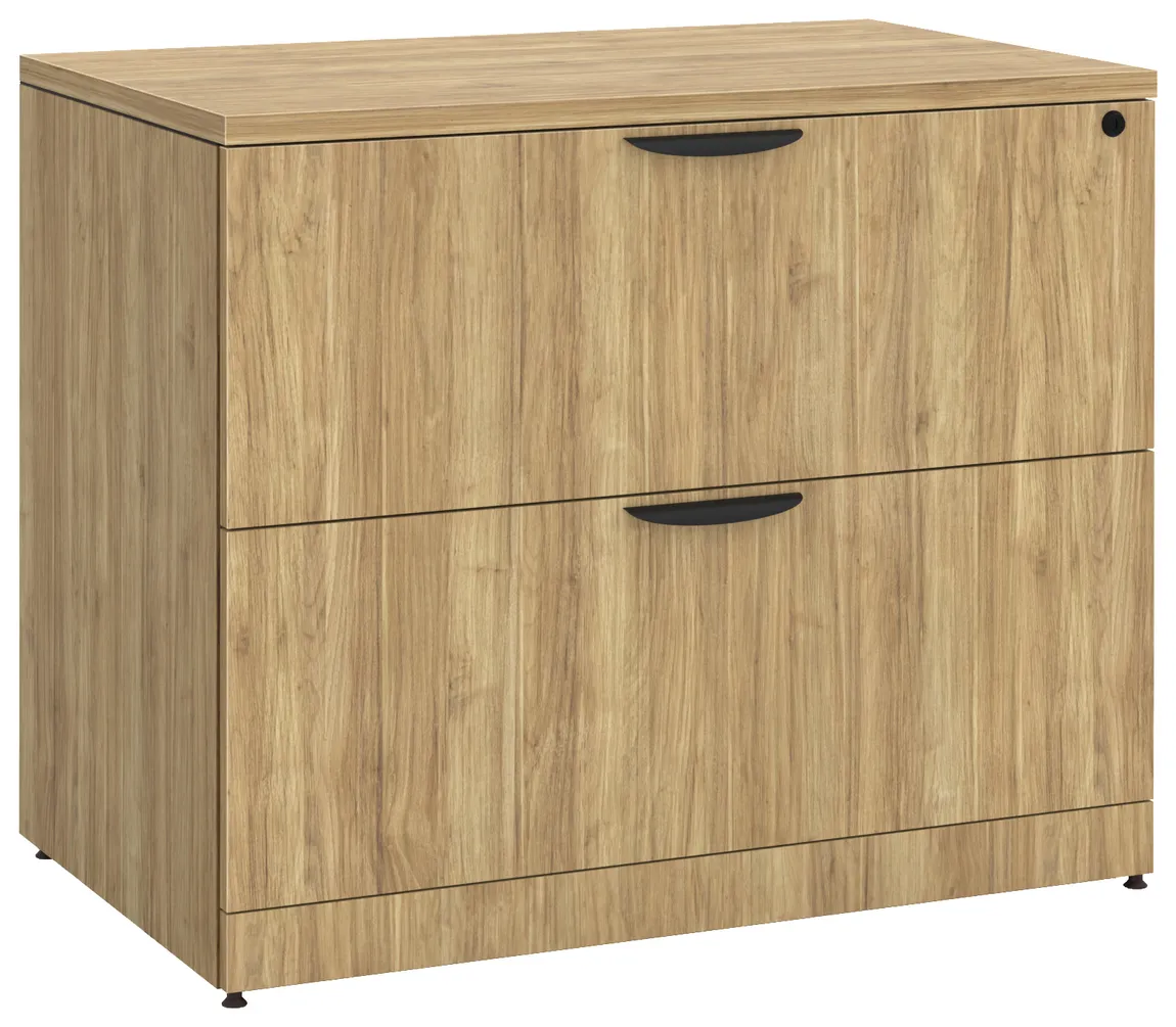2 Drawer Lateral Filing Cabinet