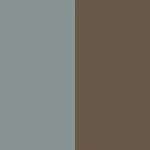 Silver / Mocha Color