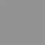 Silver 48se Frame Color