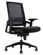 Chair Lumbar Support