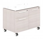 Rolling Locking Storage Cabinet