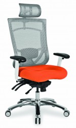 Modern Ergonomic Office Chair