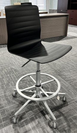 Black Adjustable Stool with Back